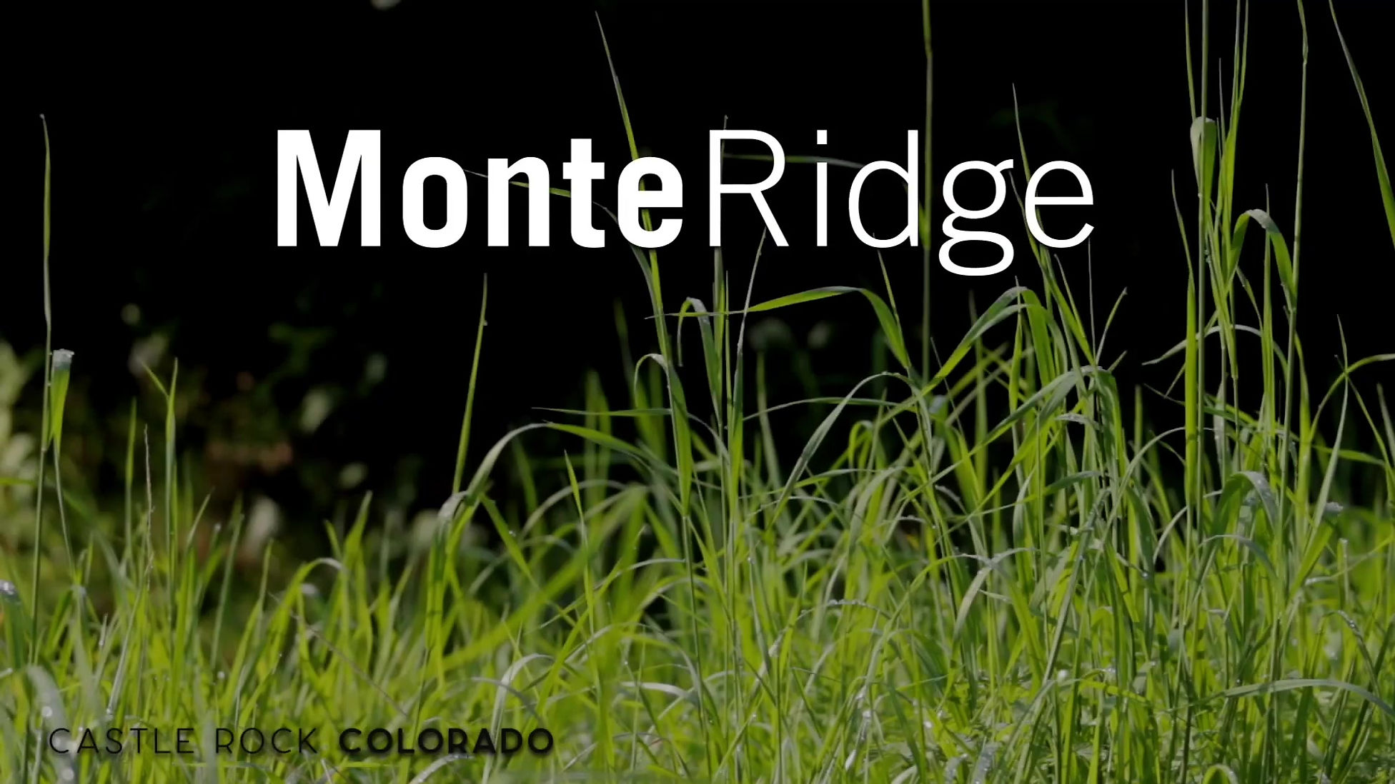 Monte Ridge